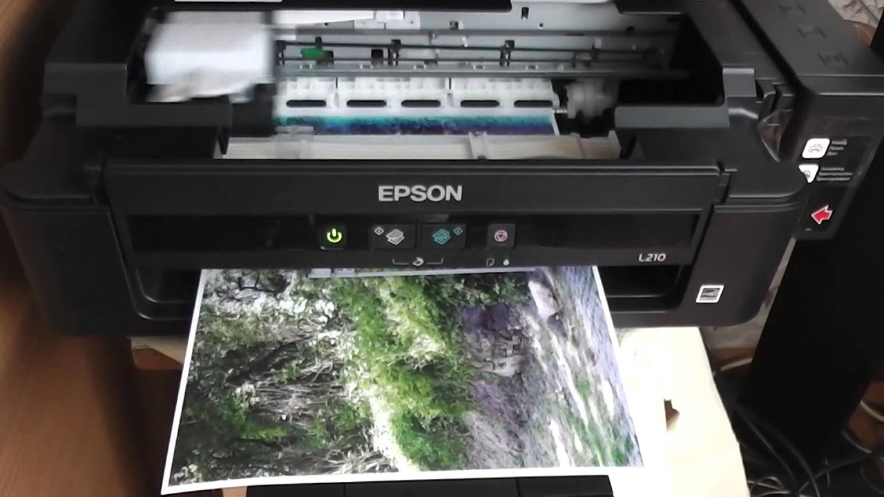 epson-printer-not-printing-correctly-ropotqidaho